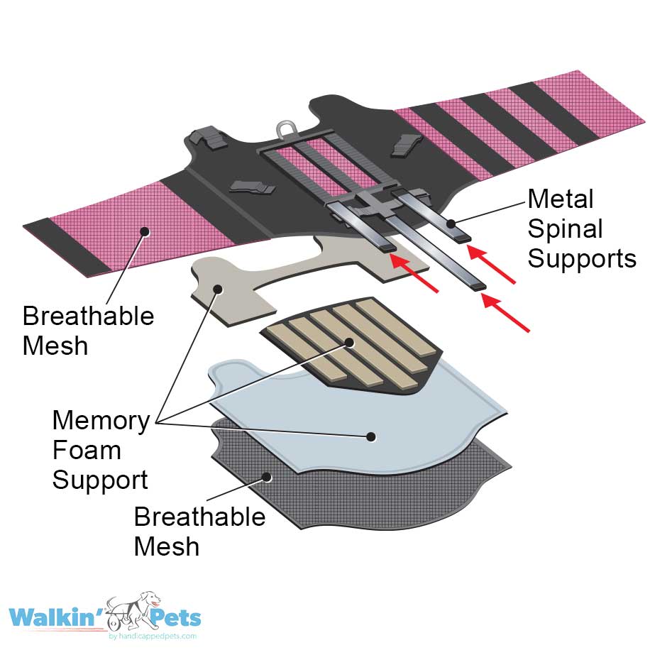 VertabraVe Back Brace - Soporte de espalda Walkin Pets4