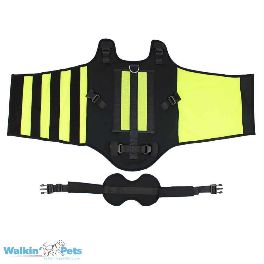 VertabraVe Back Brace - Soporte de espalda Walkin Pets5