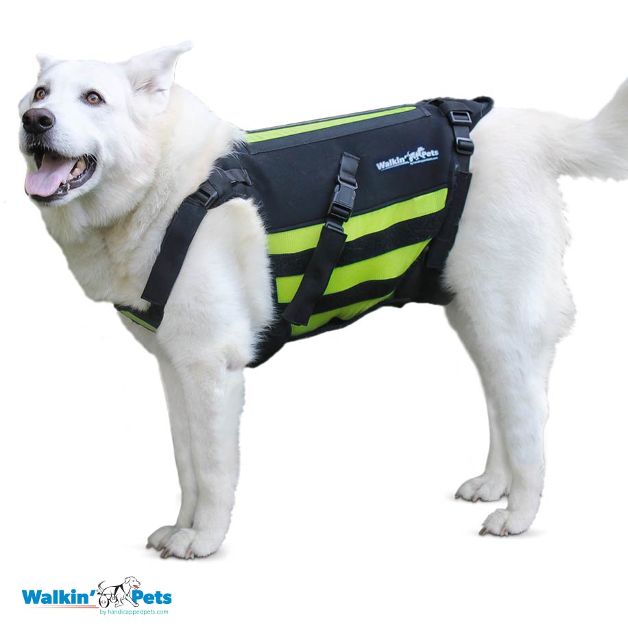 VertabraVe Back Brace - Soporte de espalda Walkin Pets12