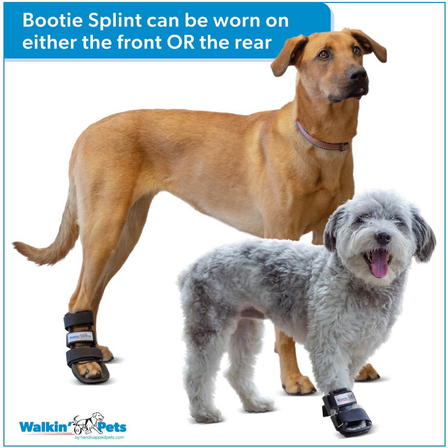 Bootie splint Walkin Pets11