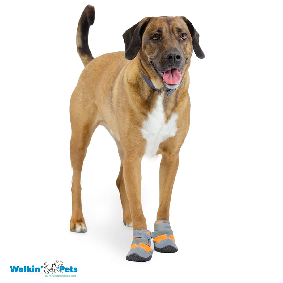 Par de Botas Walkin naranjas6