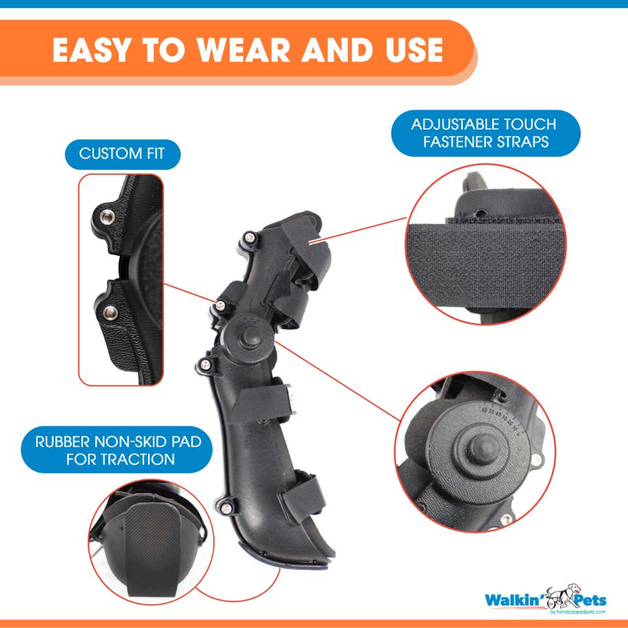 Férula ajustable, delantera o trasera3