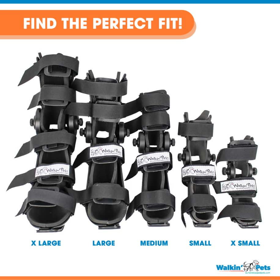 Férula ajustable, delantera o trasera4