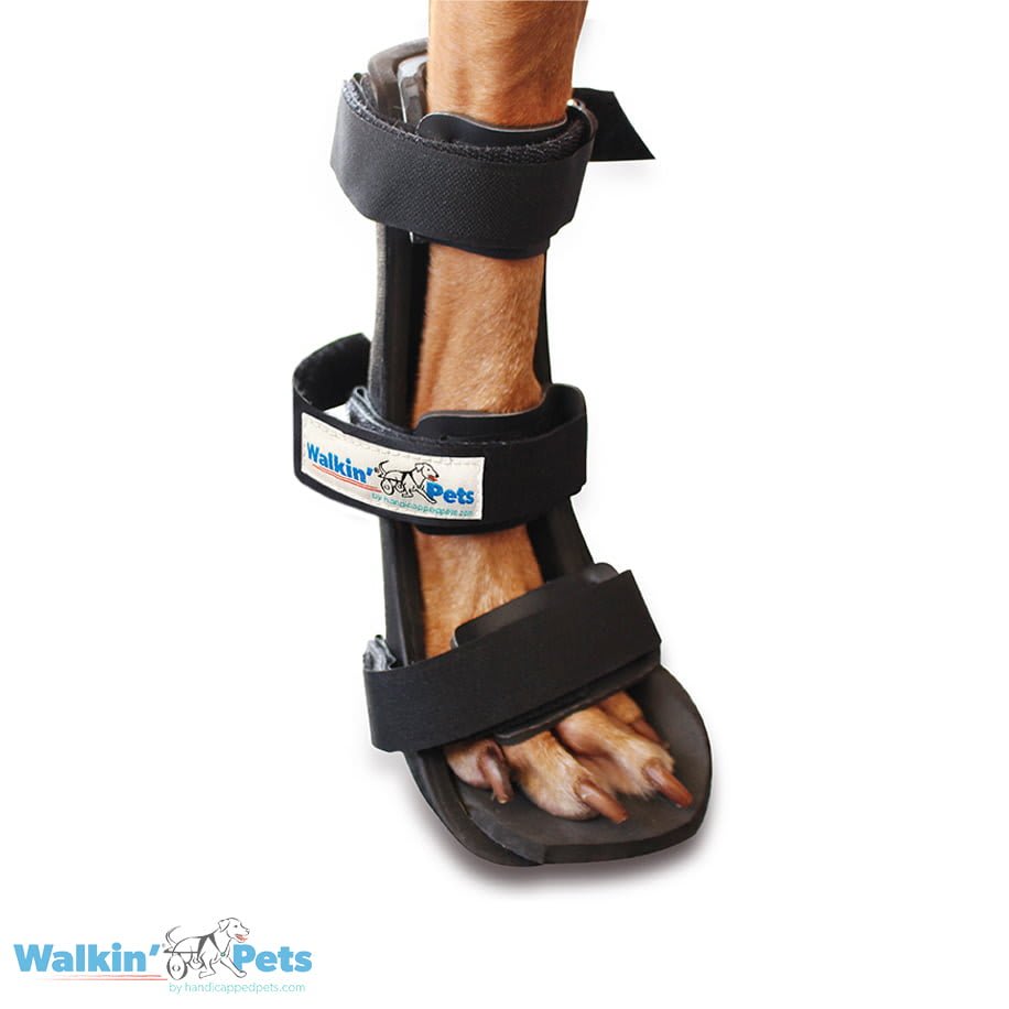 Espuma de ajuste para férulas Walkin Pets4