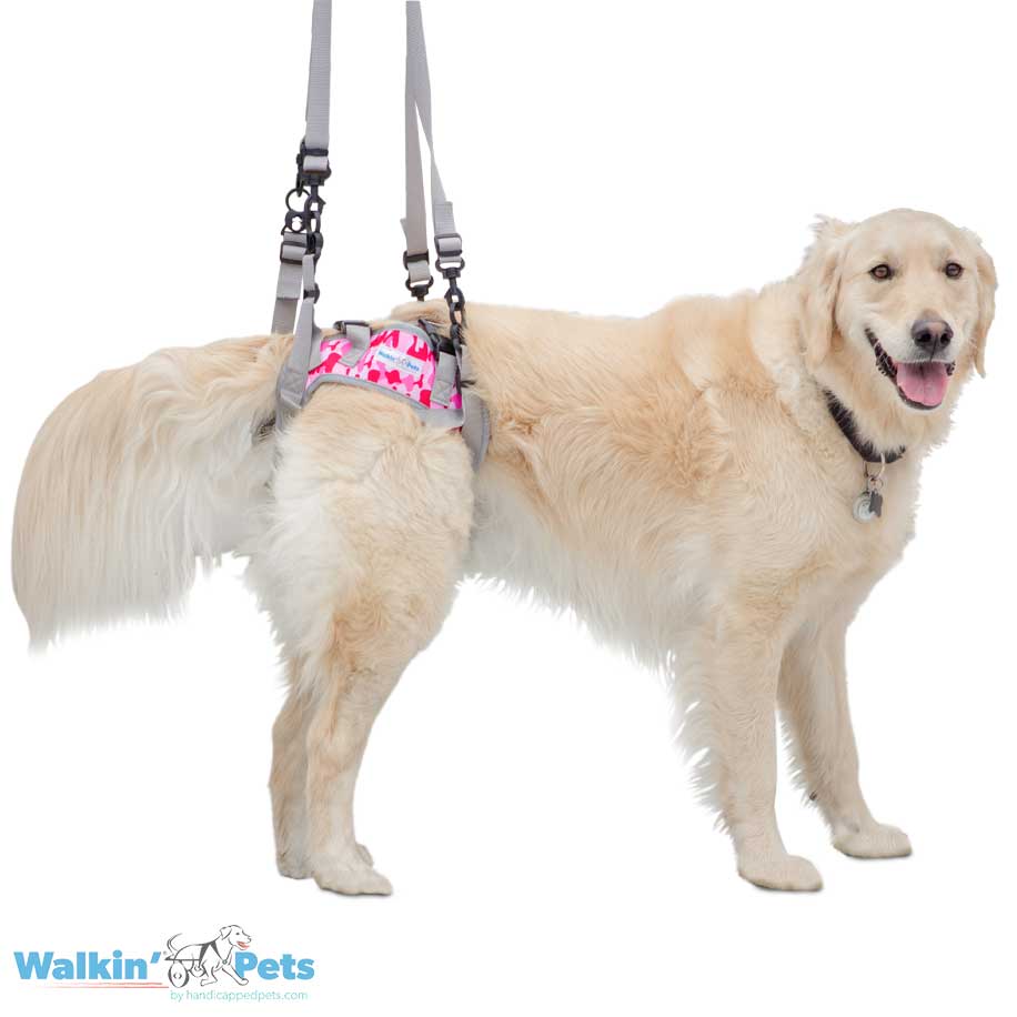 Warrior Rear Harness - Camo Arnes trasero1