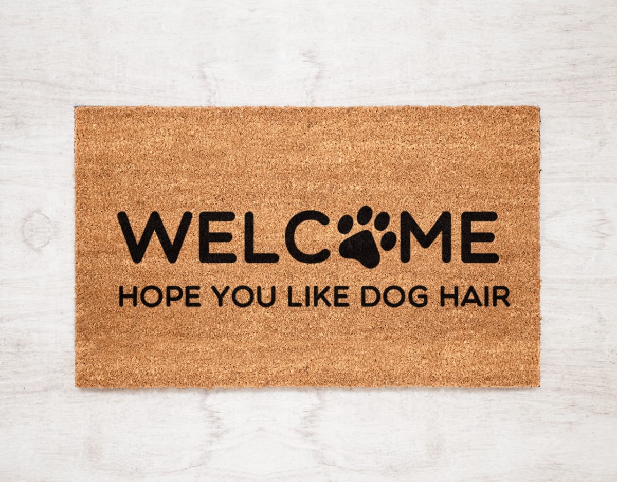 Felpudo Kokomat Welcome, dog hair1
