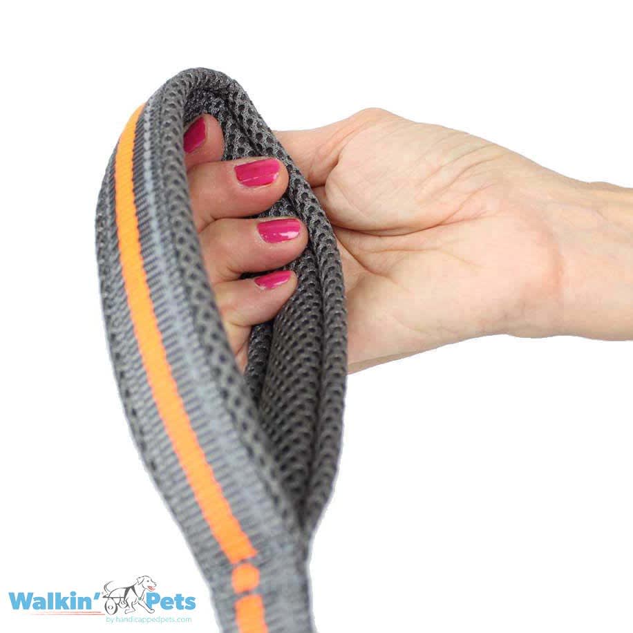 Correa Doble Walkin' para silla de ruedas4