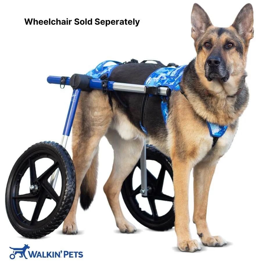 Arnes de soporte delantero Buddy Up - Walkin pets6
