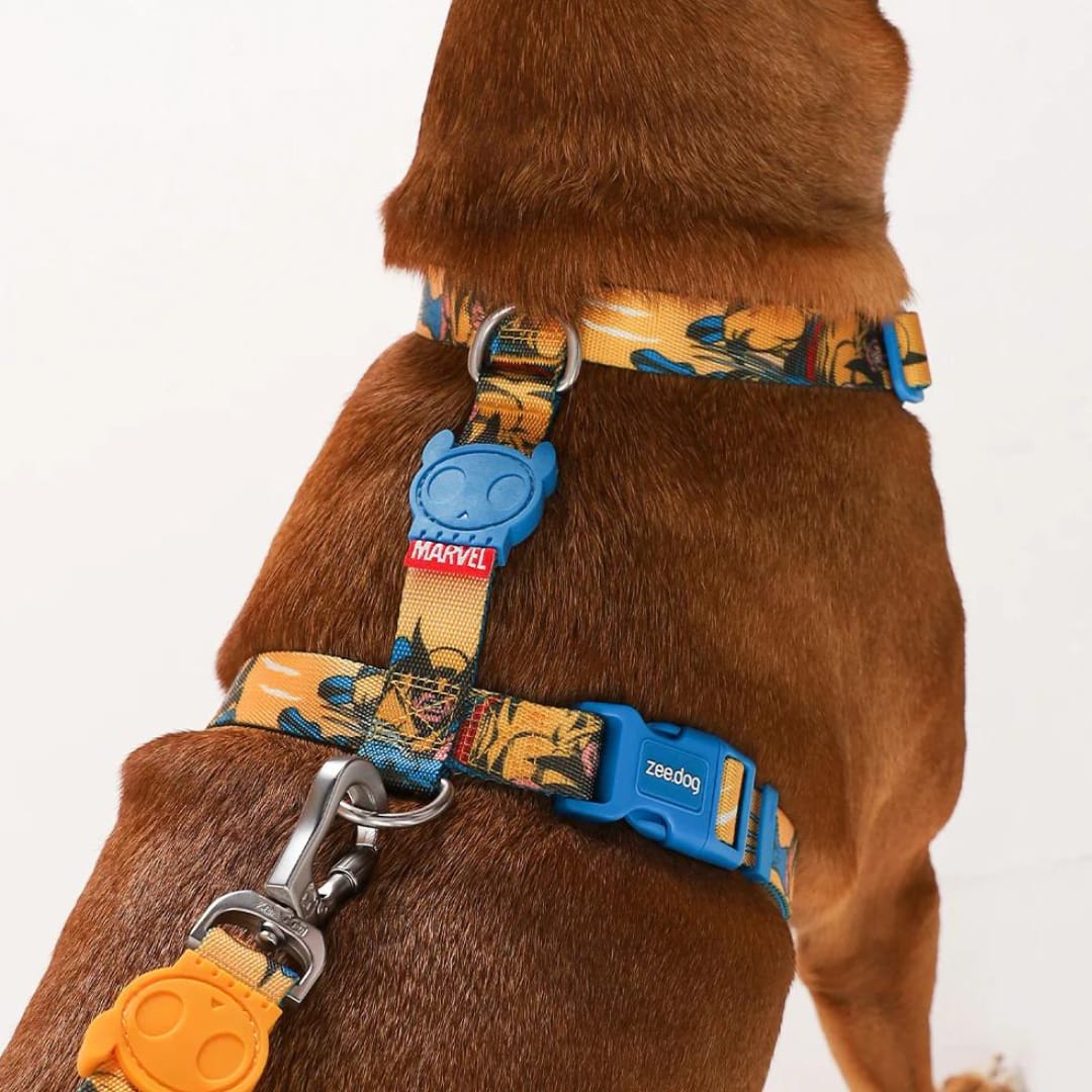 Zeedog H Harness Wolverine3