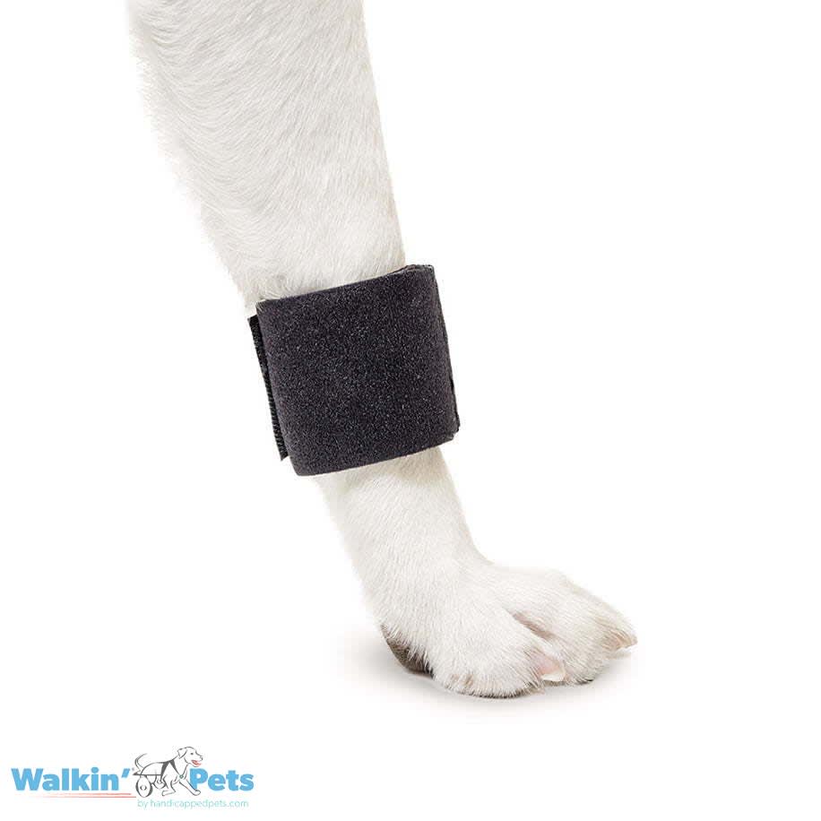 Venda para muñeca Walkin Pets1