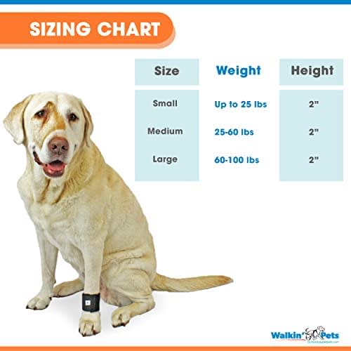 Venda para muñeca Walkin Pets7