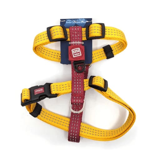 Arnés Linea Clásica Gigwi Amarillo M2