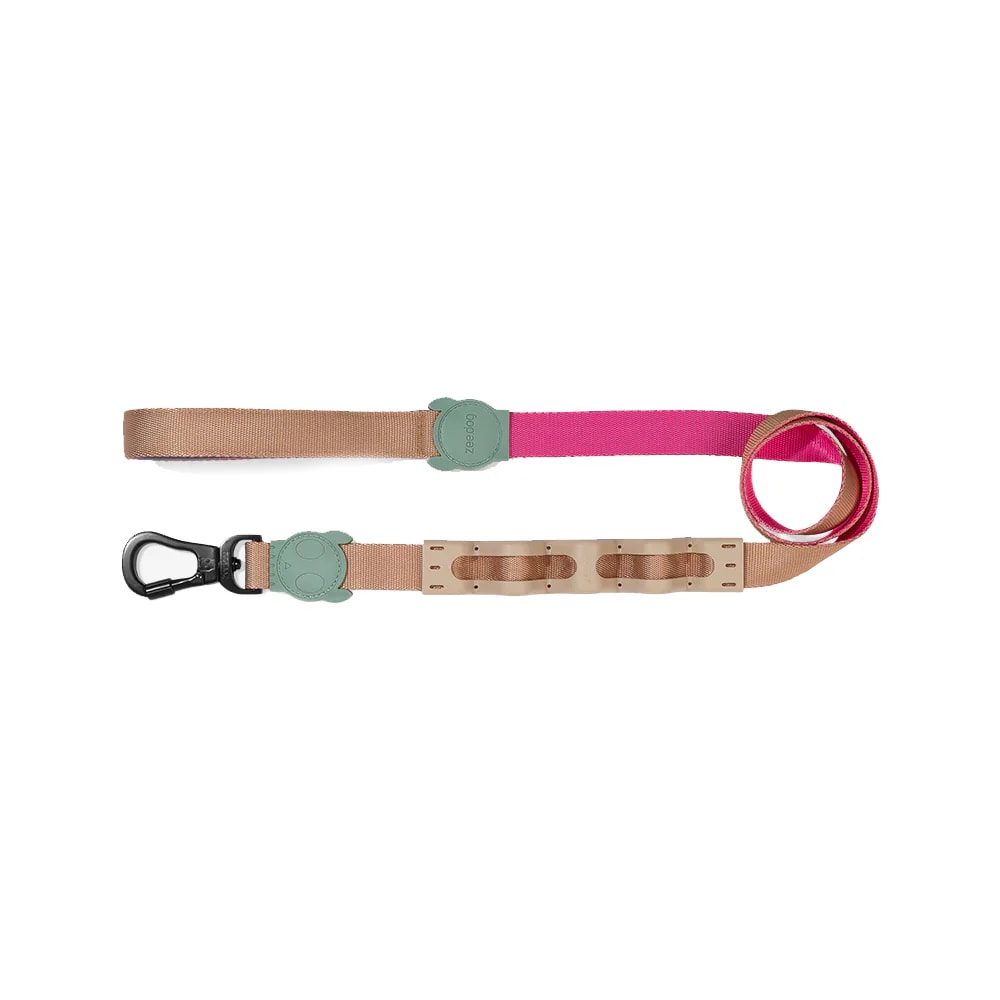 Zeedog Ruff Leash Yucca1