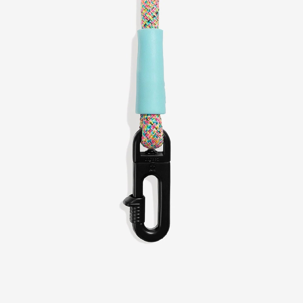 Correa Handsfree Zeedog Gravity3