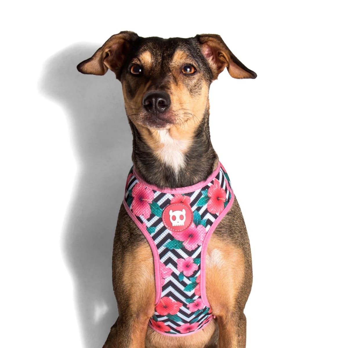 Zeedog AirMesh Harness Mahalo1