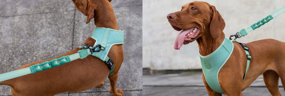Zeedog AirMesh Harness Army Green2