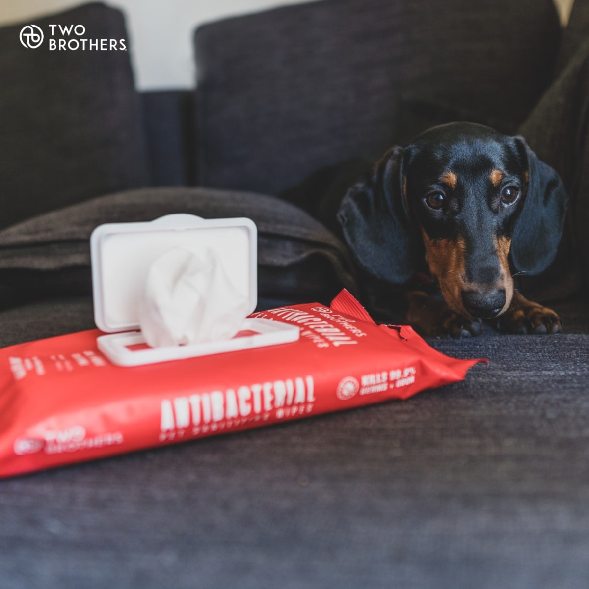 Antibacterial Wipes 40P2