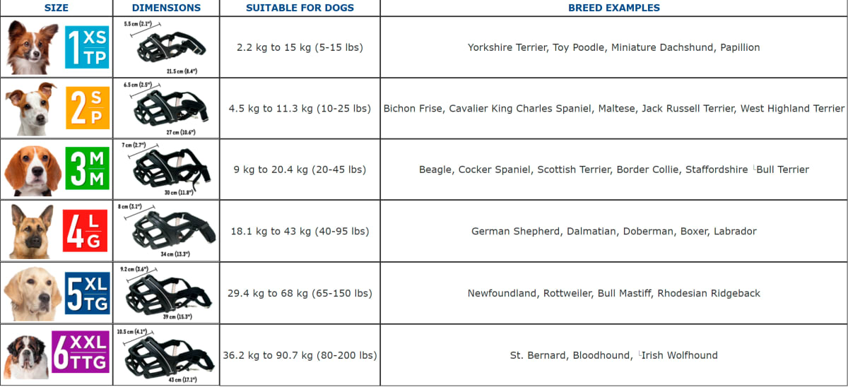 Bozal para perros ZEUS ALPHA DOG MUZZLE8