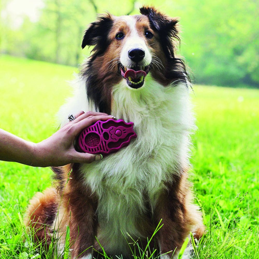 Kong Zoom Groom Dog Azul3